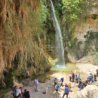 Ein Gedi