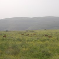 Jezreel Valley
